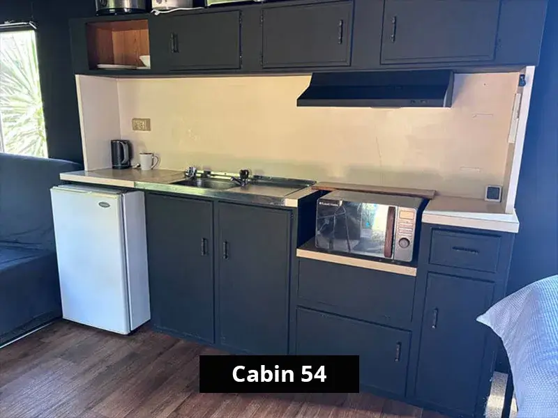 Kitchenette in Cabin 54 featuring dark cabinetry, a small white fridge, stainless steel sink, microwave, kettle, and range hood, designed for self-contained short stays.