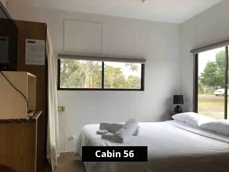 Queen bedroom in Cabin 56 at Stawell C&C Park, with large windows on two sides, white bed linen and towels, bedside table with lamp, and outdoor views of trees and parklands.
