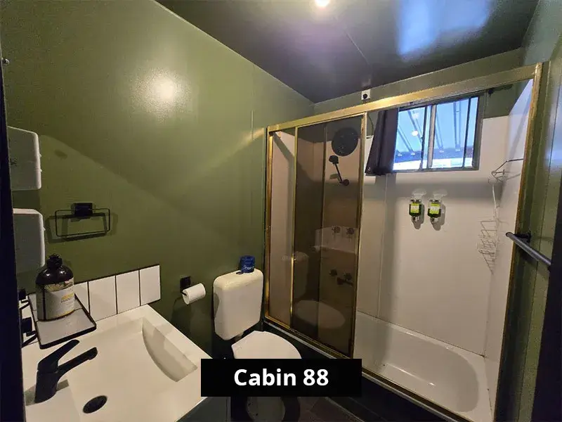Compact bathroom in Cabin 88 with olive-green walls, modern vanity, toilet, and a glass-door shower with mounted toiletries.