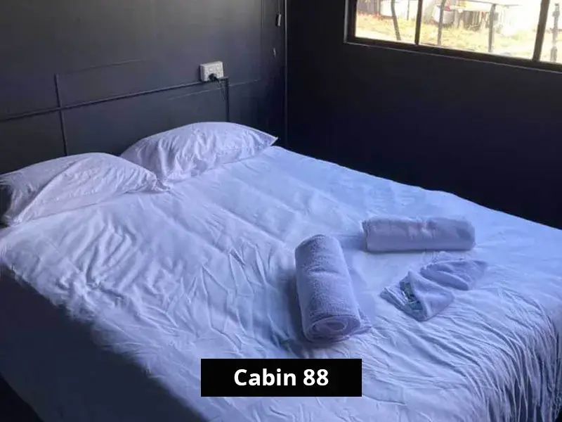 Queen bed with white linen in Cabin 88’s main bedroom, dark feature walls, and large window overlooking the park setting.
