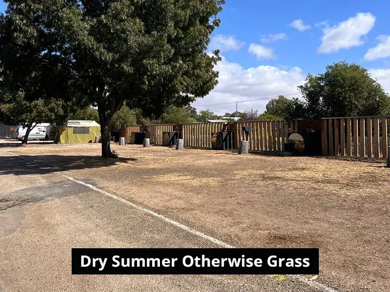 Drive through dry in summer otherwise grass