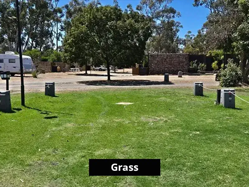 Drive Through Grass Site