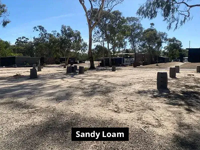 Drive Through Sandy Loam Site