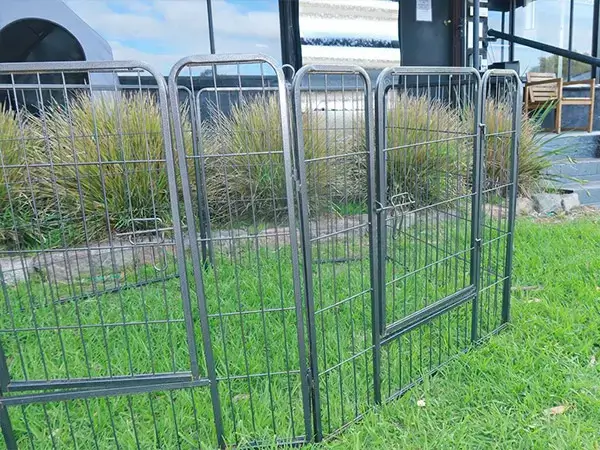 Dog Fencing