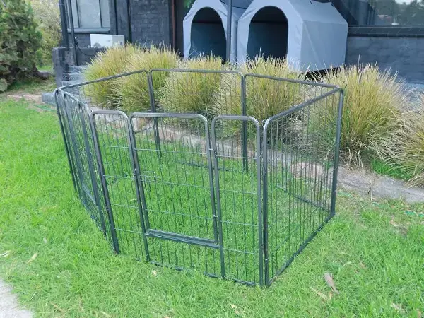 Dog Fencing