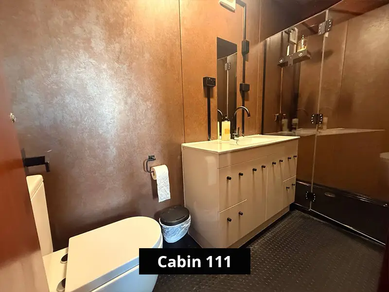 Cabin 111 bathroom with white toilet, vanity, black fixtures, glass shower, mirror, and modern brown wall panels.