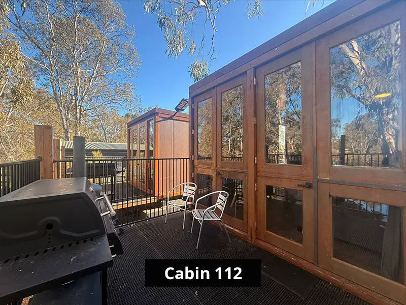 Cabin 112 exterior with glass doors, private deck seating, barbecue grill, and surrounding trees.