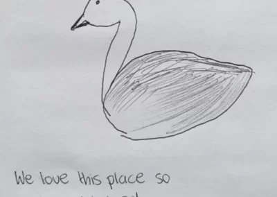 Guests drawing of one of the ducks in the park
